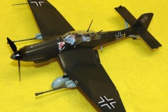 stuka-eastern-1