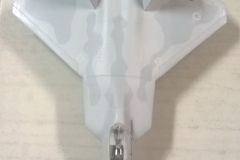 f-22 raptor 3 (1)